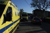 Atropelado em Marinhão quando tentava salvar gato